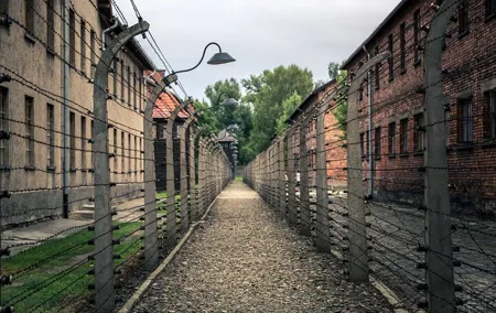 Auschwitz Birkenau Round Transfer, Private Driver from Krakow