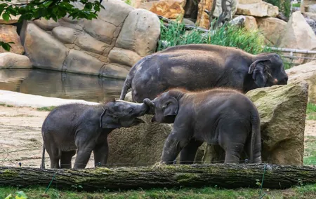 Prague Zoo Skip-the-line Tickets and Private Transfers