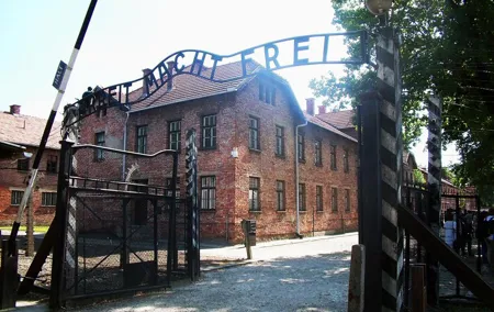 Auschwitz Tours Memorial and Museum Guided Tour from Krakow