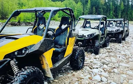 Zakopane Buggy Ride Adventure with Bonfire and Transfers