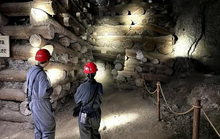 From Krakow: Salt Mine Wieliczka Miners Route Tour