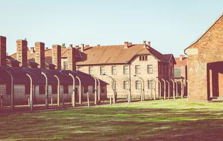 Auschwitz-Birkenau and Krakow Private Car Trip from Katowice