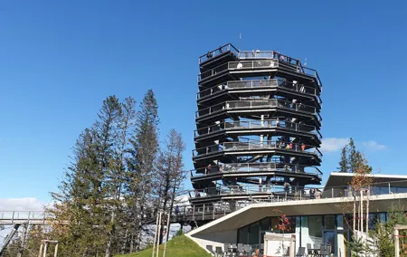Private Tour to Slovakia Treetop Walk and Thermal Baths