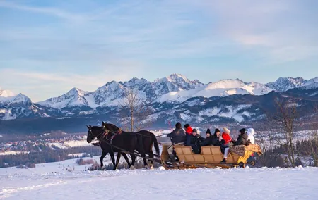 Tatra Mountain Sleigh Ride in Zakopane from Kraków