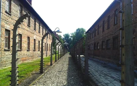 Auschwitz-Birkenau Self-Guided Visit from Krakow with Private Transfers