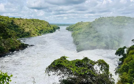 3 Days Murchison Falls National Park Safari & Rhino tracking