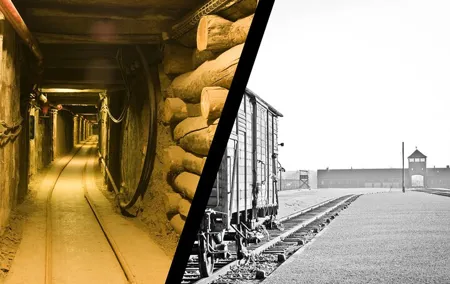 Auschwitz Birkenau Transfer and Guide with Salt Mine Combo Option