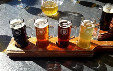 EVERYDAY Krakow Beer Tasting Tour