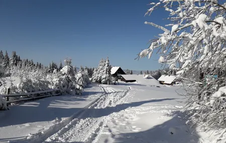 1-day Private Snowshoe Hike in the Gorce Mountains near Krakow