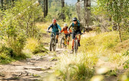 Prague Mountain Biking: Blast Through The Best Singletracks
