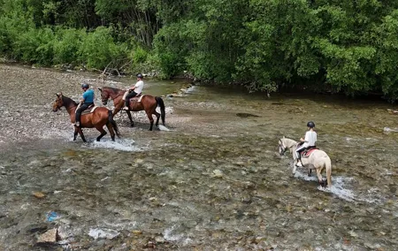 Zakopane Horse Riding and Thermal Baths full day from Krakow
