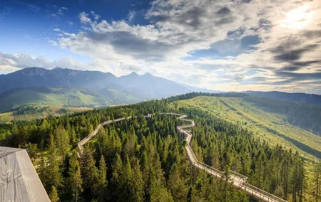 Dunajec River Gorge Rafting and Tree Top Walk from Krakow