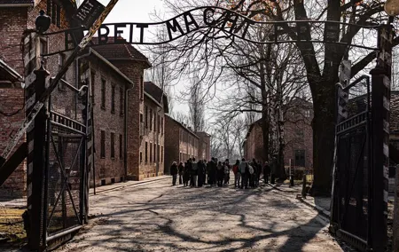 Krakow to Auschwitz Birkenau Guided Tour with Private Transfer