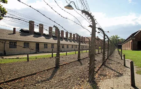 Auschwitz- Birkenau and Salt Mine in Wieliczka in one day with private transport