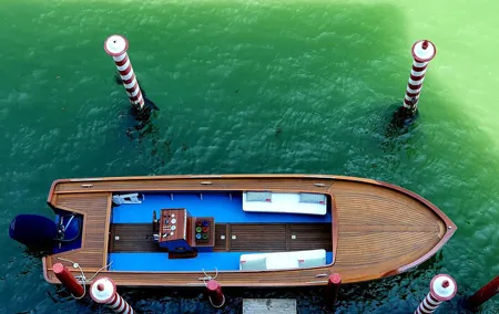 Venice, Canals & history on a private boat tour !