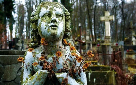 2-Hour Lviv Lychakiv Cemetery Private Tour