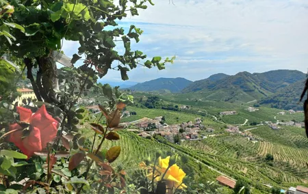 Prosecco Hills Wine and Food Tour from Venice and Treviso