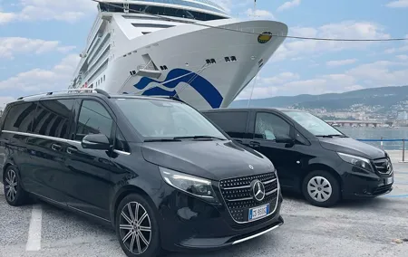 Cruise Transfer from Venice Airport to Terminal
