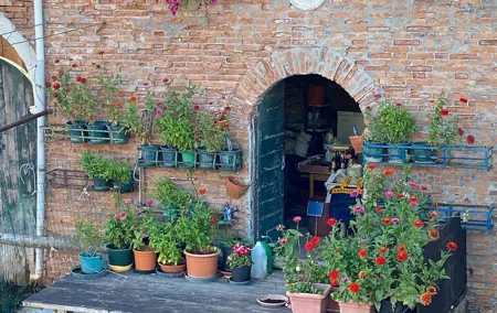 Another Side of the City: Discovering Authentic Venice