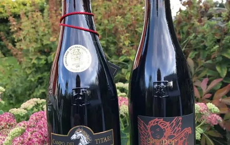 Amarone-Valpolicella private tour. Visit Verona. From Venice