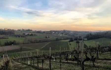 Food and Wine Tour on the Prosecco Hills from Venice