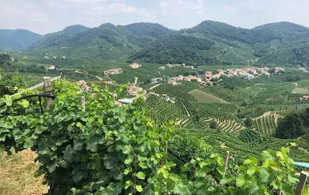 Prosecco and Cheese Tasting. From Venice. Full day