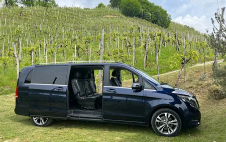 Small Group Tour with Prosecco Wine Tasting from Venice