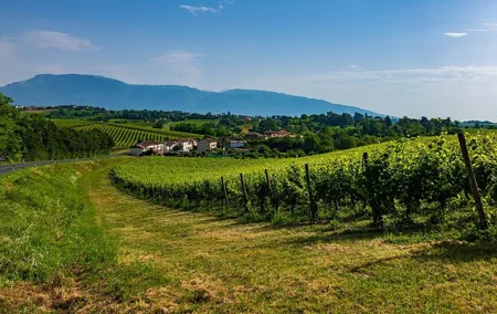 Private Tour from Venice to Hill of Prosecco