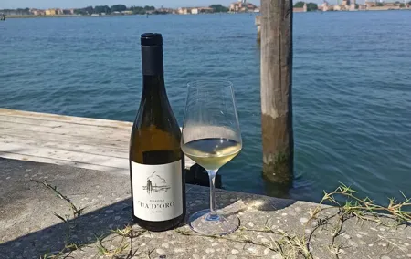Wine Tasting with the winemaker in Villa Santa Eurosia