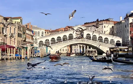 Venice at a glance via San Marco, Canal Grande and Rialto