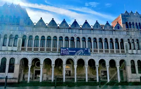 Natural History Museum in Venice with a Nature and Interpretive Guide