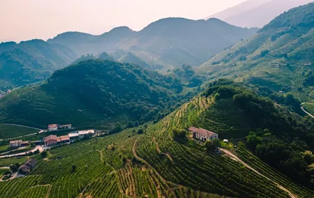 Luxury Prosecco Wine Tasting Full-Day Private Tour from Venice