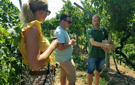 Amarone Wine Tour (all-inclusive full day with lunch and expert wine guide)