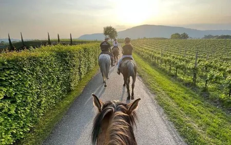 Private Horseback Riding Tour of the Vineyards in Verona with Wine Tasting