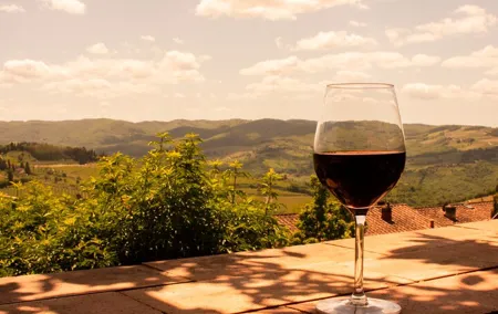 Valpolicella Wine & Olive Oil Full Day Private Tour from Venice