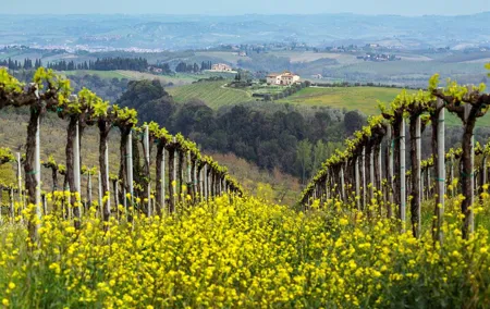 Venice Day Trip to the Prosecco Hills - Vineyards & Villages