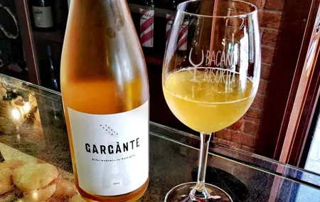 Natural wine tasting with a Bacaro owner in Venice