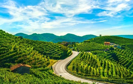 Full Day Private Prosecco Wine Tour Experience from Venice