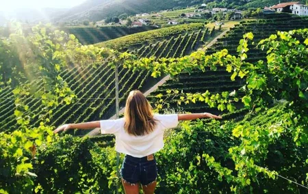 Prosecco hills wine tasting tour