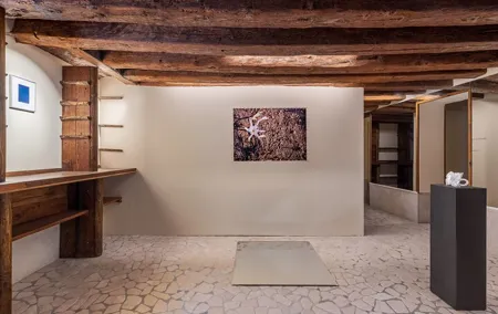 Venice Wine Tasting and Contemporary Art