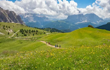 Transfer from Venice to Cortina and Other Top Dolomites Spots