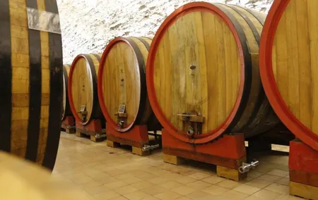 Wine tasting, Valpolicella cellar visit, Amarone and red wines region day tour