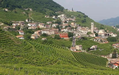 Prosecco region cellar visit, wine tasting, Palladian Villa, medieval village