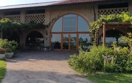 Full-Day Friuli Venezia Giulia Wine Private Tasting from Venice
