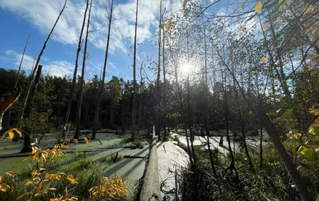 Guided hike in Berlin and Brandenburg incl. transport
