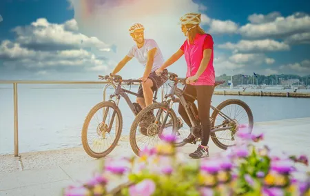Bike Tour of Berlin Top Attractions with Private Guide