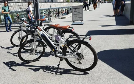 Private guided (E)Bike Tour Berlin individual or Private Groups