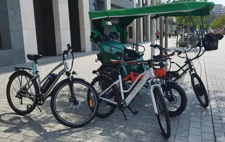 Rickshaw Berlin Highlights 3.5 Hours 2 Person-Shared Guide