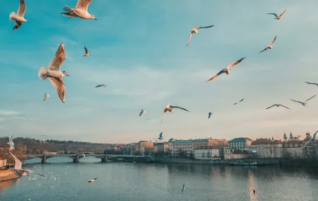 Private Prague Tour - 4 hours driving