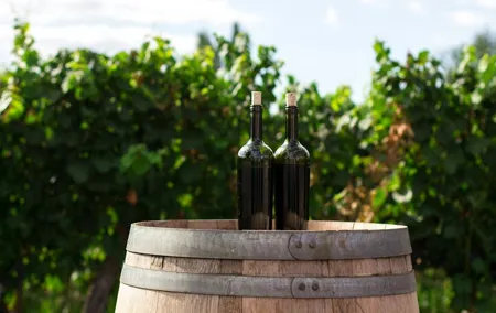 Prague Private Wine Tour